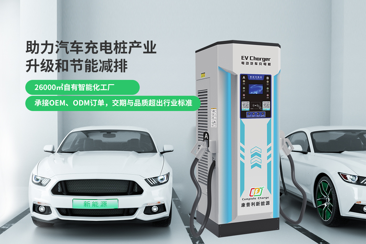 揭秘中國新能源汽車充電設施的發(fā)展現(xiàn)狀